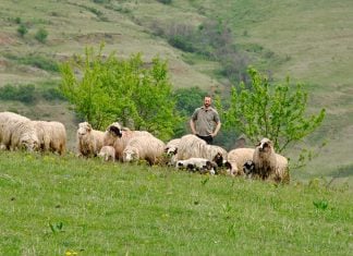 Casă bătrânească din Ocniţa locuită de o familie de olandezi