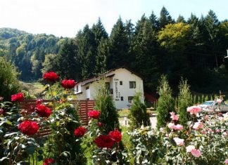 Vila Moldavia Best din stațiunea Slănic Moldova