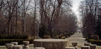 6 lucruri mai puțin cunoscute despre Constantin Brâncuși