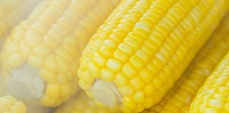 Trei rețete cu porumb