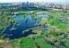 De ce să vizitezi Parcul Natural Văcărești