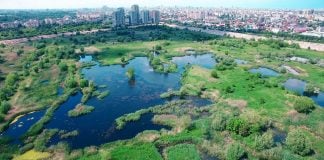 De ce să vizitezi Parcul Natural Văcărești