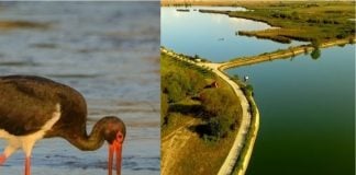 Trei motive să ajungi la Delta din Carpați