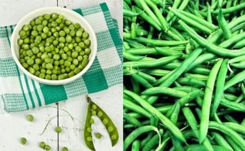 Rețete gustoase cu fasole verde