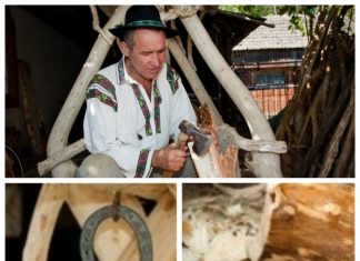 Vasile Neamțu- meșterul care și-a transformat locuința într-un muzeu