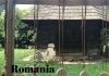 3 locuri din București, de vizitat toamna