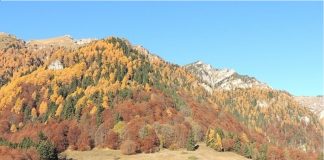 Trei motive să mergi toamna la Sinaia