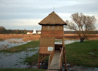 O rezervație naturală mai puțin cunoscută, în vestul țării. Povestea mânăstirii Bezdin, veche de 500 de ani FOTO